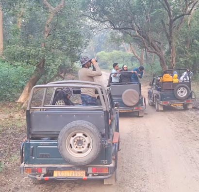 Dhela Safari Zone, Jim Corbett National Park