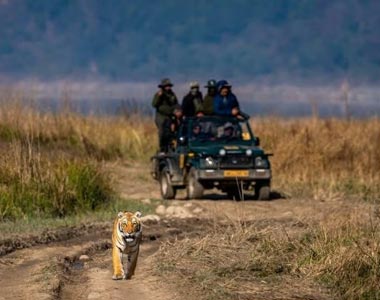 Corbett Dhikala Tour, Jim Corbett National Park