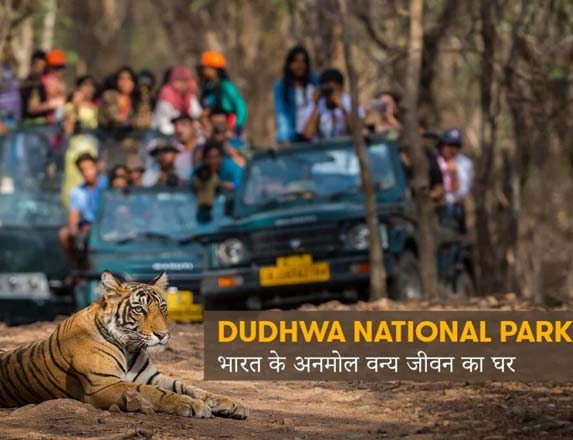 Dudhwa National Park, Lakhimpur Kheri District, Uttar Pradesh
