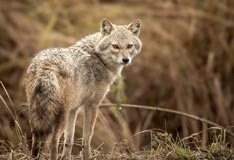 How to Reach, Jim Corbett National Park