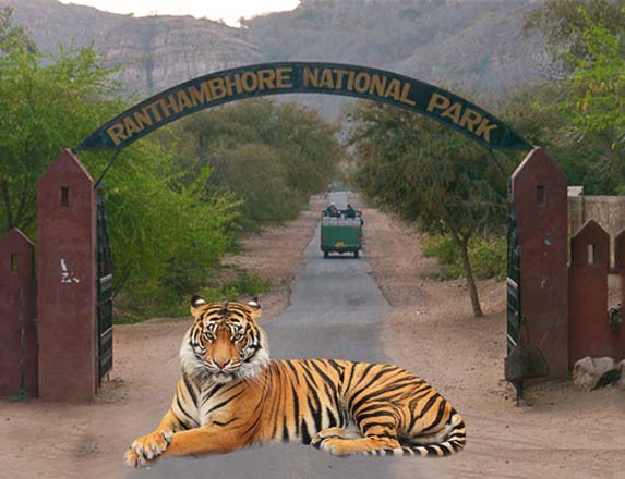 Ranthambore National Park, Sawai Madhopur, Rajasthan