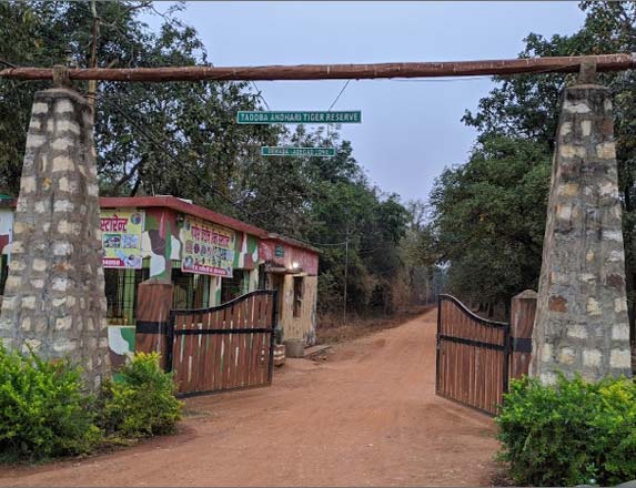 Tadoba National Park, Chandrapur, Maharashtra